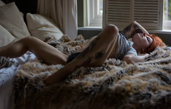 Picture pose, feet, bed, tattoo, red, Jack Russell