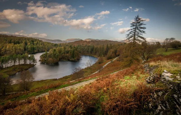 Autumn, trees, lake, island, England, Cumbria, the lake district