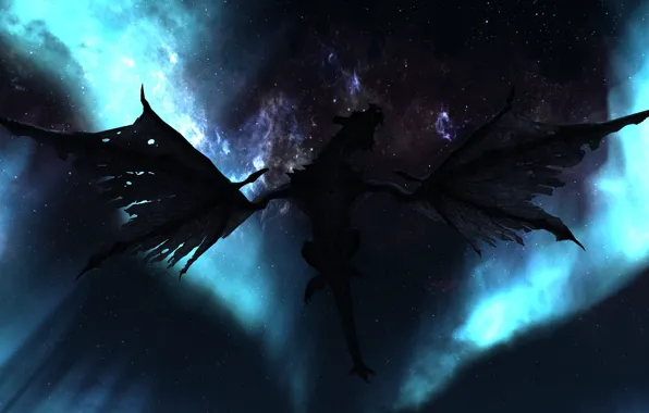 The sky, stars, flight, night, dragon, wings, silhouette, Skyrim