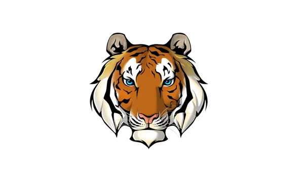 Picture face, tiger, minimalism, white background, tiger