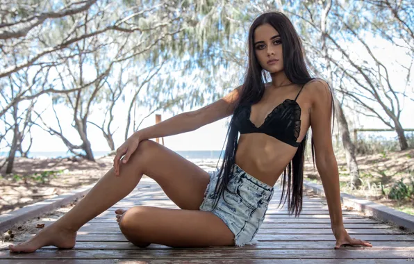 Sea, beach, look, girl, the sun, trees, pose, Board