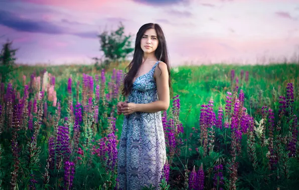 Field, look, girl, flowers, nature, lupins