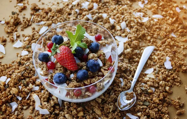 Berries, Breakfast, muesli, yogurt, granola, oatmeal, granola