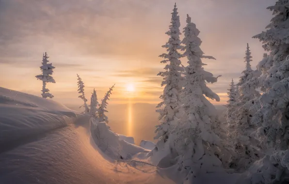 Winter, frost, forest, the sky, the sun, clouds, light, snow