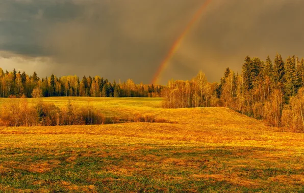 Picture field, autumn, forest, light, rainbow