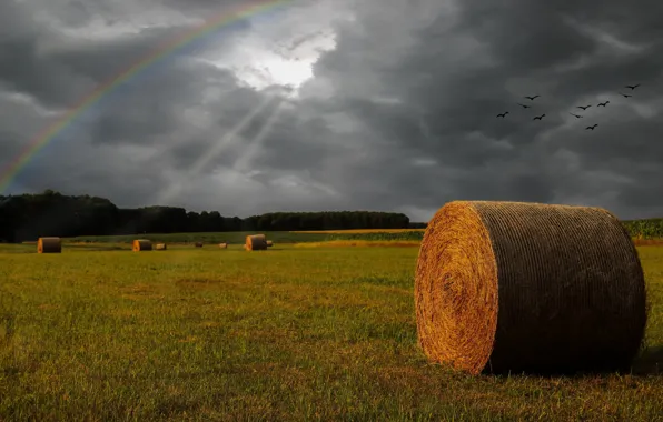 Field, rainbow, hay, the rays of the sun