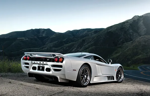 Car, auto, Wallpaper, Saleen, wallpapers, back, silvery