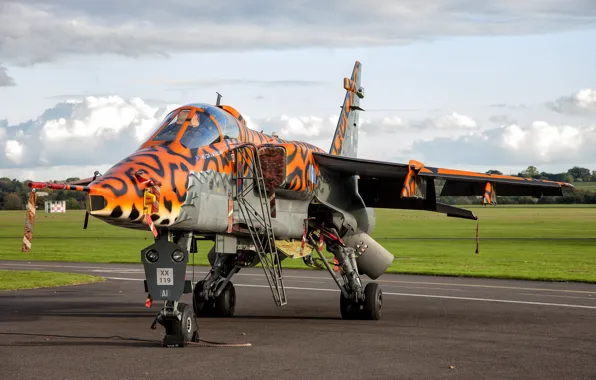 Jaguar, airbrushing, the airfield, fighter-bomber, SEPECAT