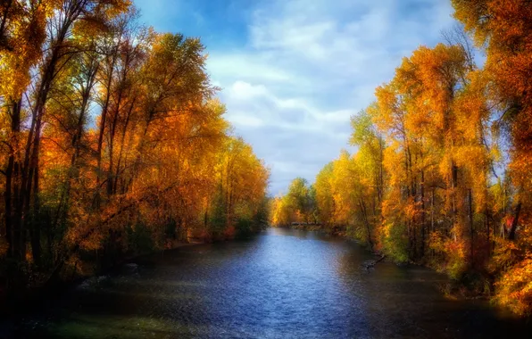 Autumn, the sky, trees, river