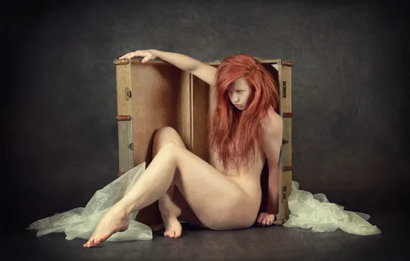 Girl, pose, suitcase
