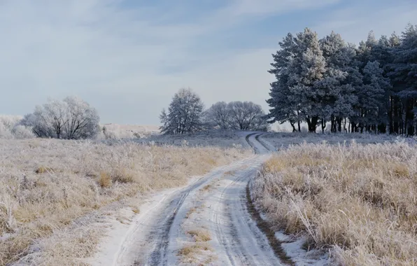 Winter, frost, road, field