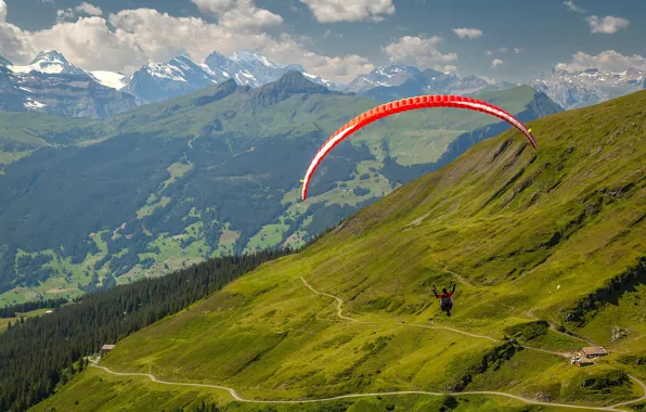 Forest, clouds, flight, mountains, the slopes, tops, people, view