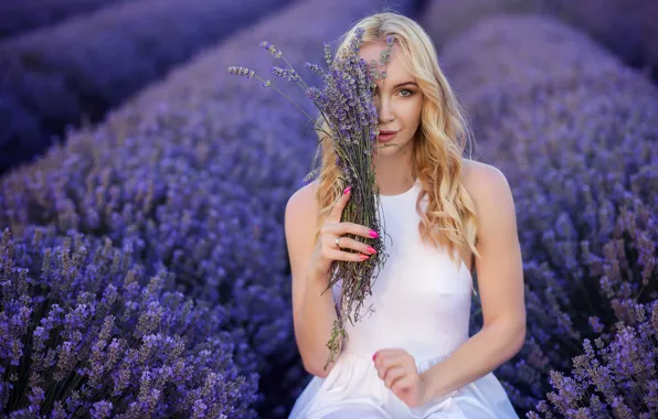 Field, look, mood, hands, blonde, lavender, Ivan Georgiev