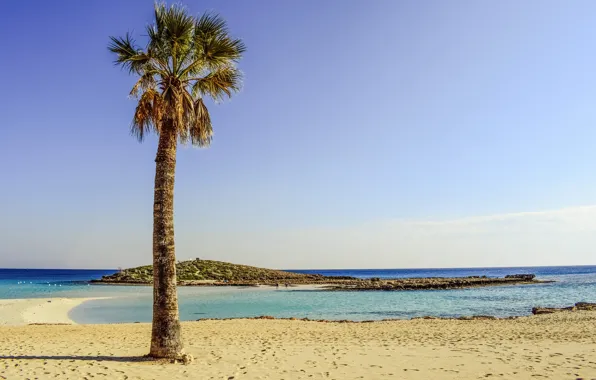 Sand, sea, beach, the sky, the sun, Palma, coast, horizon