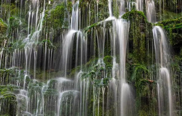 Moss, waterfalls, cascade, Tennessee, Tn, Machine Falls