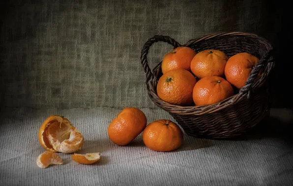 Basket, food, slice, citrus, fruit, still life, basket, tangerines