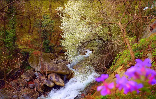 Picture Spring, Waterfall, Stones, Spring, Flowering, Waterfall, Flowering