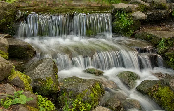 Picture forest, stream, stones, waterfall, moss, USA, Yosemite