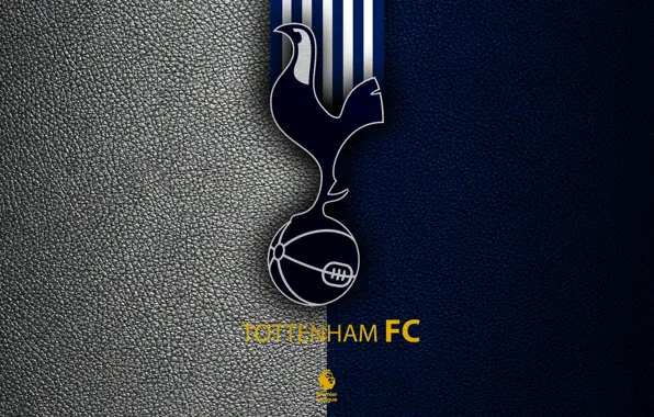 Tottenham, Tottenham Players HD wallpaper | Pxfuel