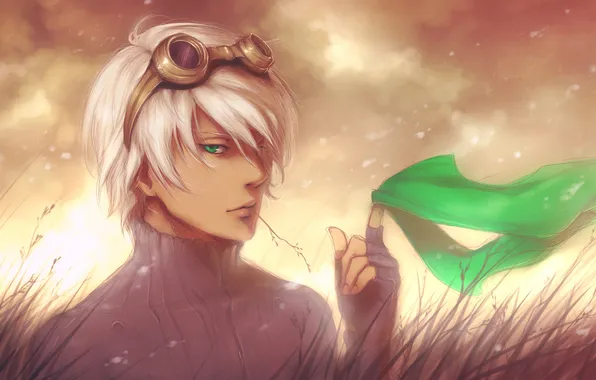 Grass, the wind, scarf, glasses, ears, guy, art, mezamero