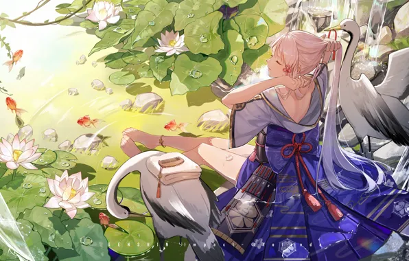 Picture stream, hairstyle, goldfish, Lotus, long hair, Japanese clothing, in the water, sitting on a rock