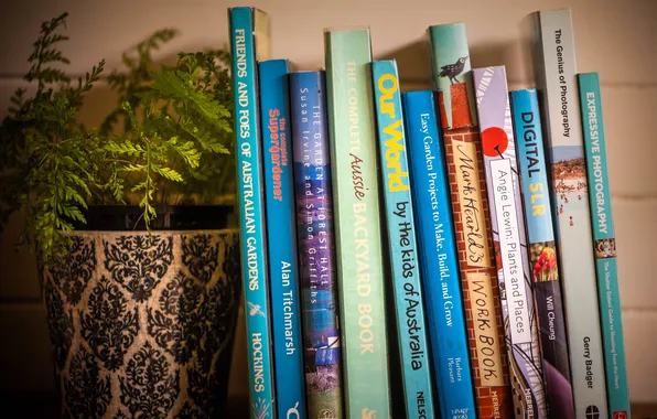 Plant, books, shelf, pot, fern