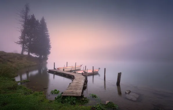 Trees, fog, lake, shore, Board, the bottom, boats, morning