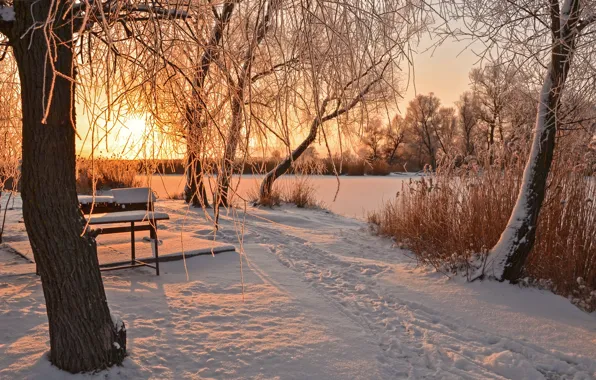 Winter, the sun, snow, trees, bench, traces