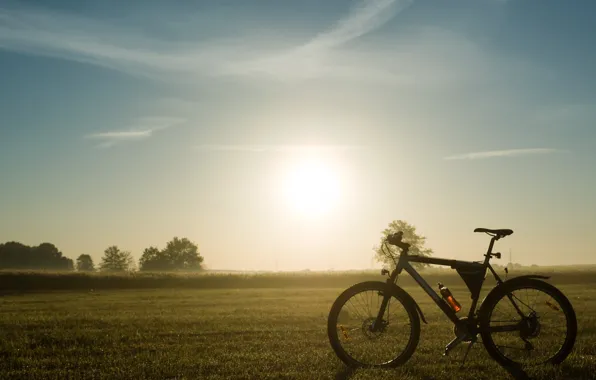 Nature, bike, morning, halt, mountain bike