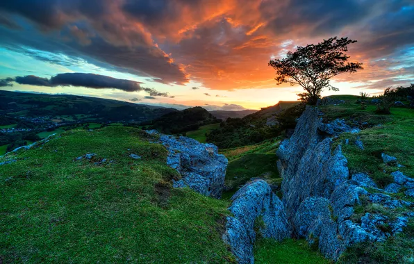 Picture the sky, grass, sunset, mountains, clouds, stones, tree, slope
