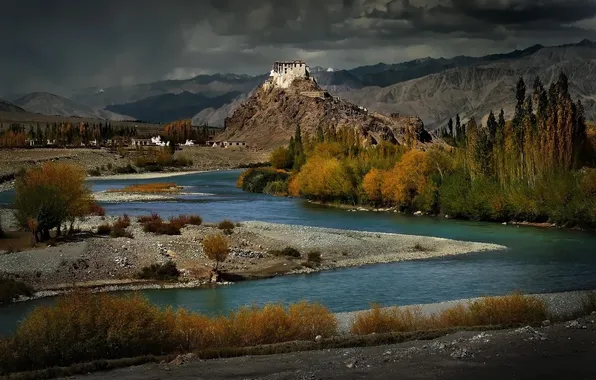 Forest, mountains, river, home