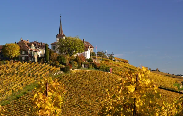 Autumn, the sky, hills, tower, home, vineyard
