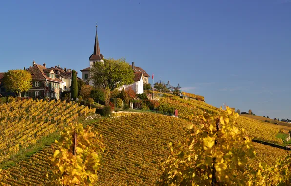 Picture autumn, the sky, tower, home, hill, vineyard