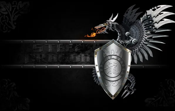 Picture metal, dragon, art, characters, shield, black background, Steel Dragon