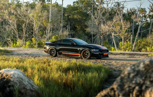 Mustang, Ford, Shelby, GT-S, 2019
