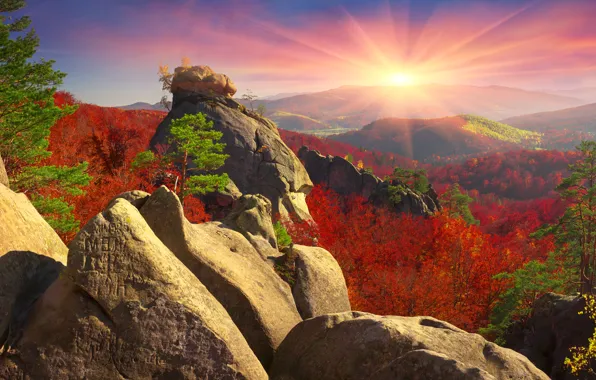 Autumn, forest, the sky, the sun, rays, trees, mountains, stones