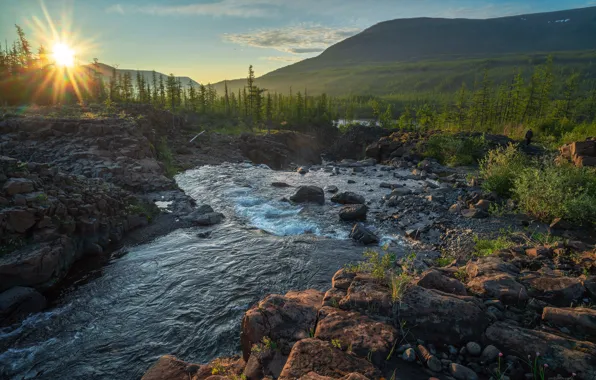 The sun, rays, landscape, mountains, nature, stream, stones, forest