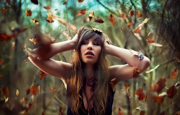 Look, leaves, girl, face, background, Wallpaper, lips