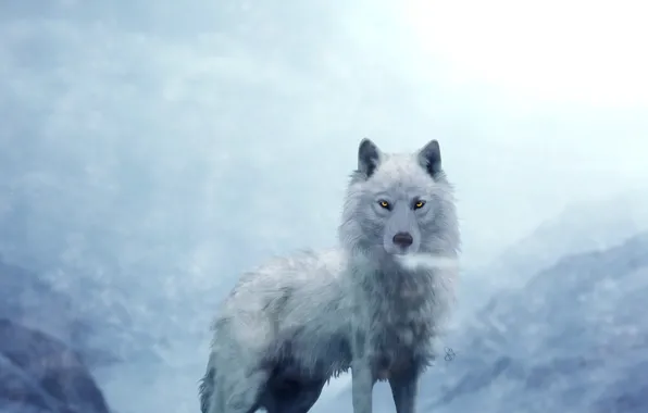 White, wolf, in the background, mountains