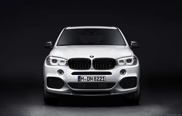 Picture BMW, E70, X5