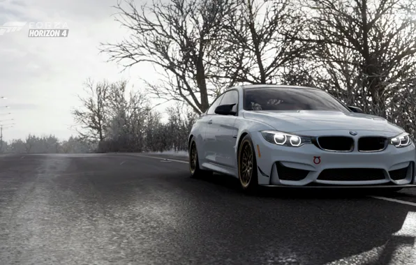 Track, Winter, BMW M4, Forza Horizon 4