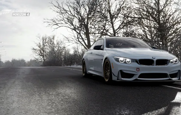 Winter, track, BMW M4, Forza Horizon 4