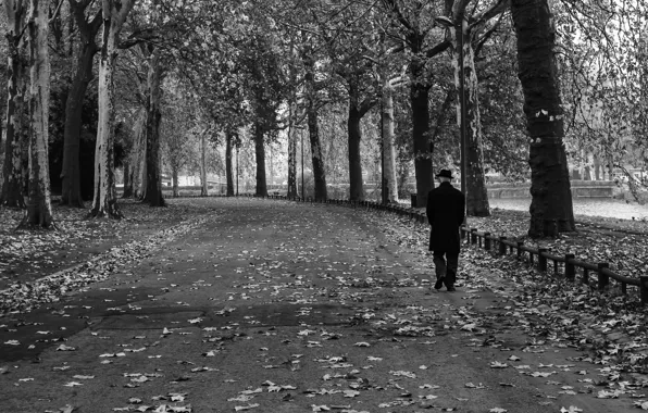 Park, France, black and white, fallen leaves, Lille
