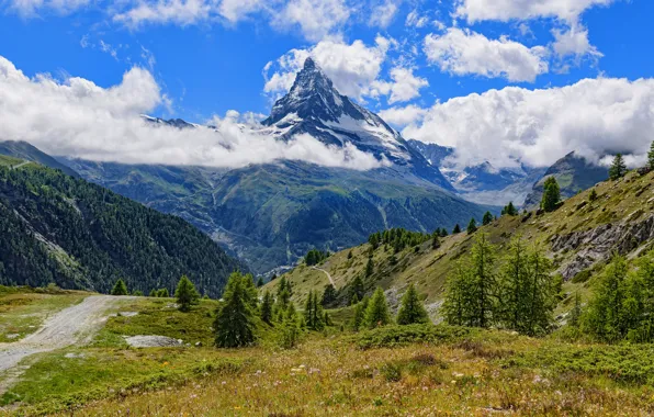 Picture road, forest, summer, the sky, clouds, snow, mountains, blue