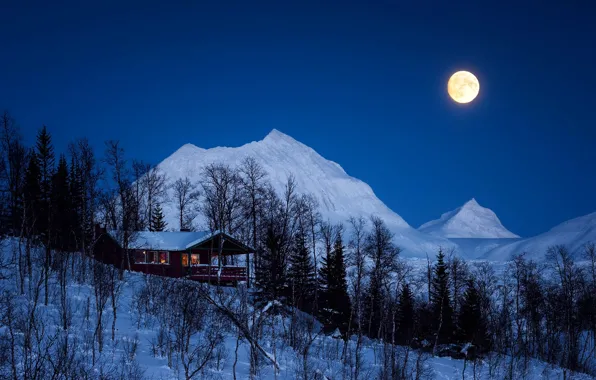 Winter, forest, the sky, snow, trees, mountains, night, the moon
