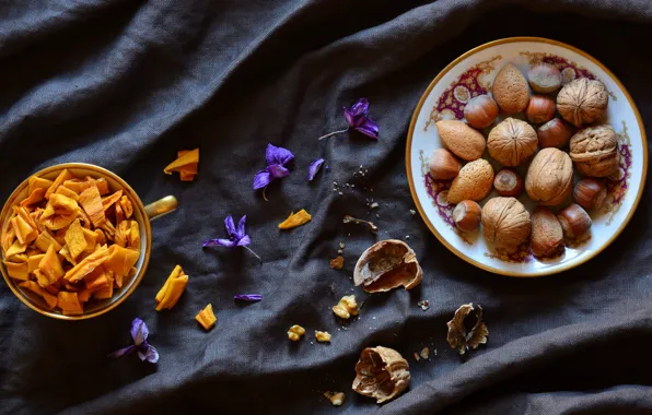 Flowers, the dark background, food, fabric, nuts, still life, hazelnuts, composition