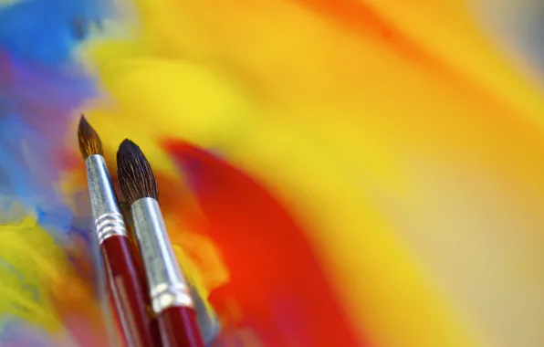 Yellow, red, background, color, divorce, bright, creativity, brush