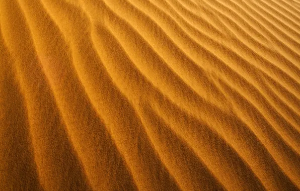 Sand, orange, yellow, the dunes, the wind, shore, coast, desert