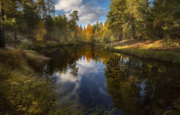 Autumn, forest, clouds, landscape, nature, reflection, river, Bank