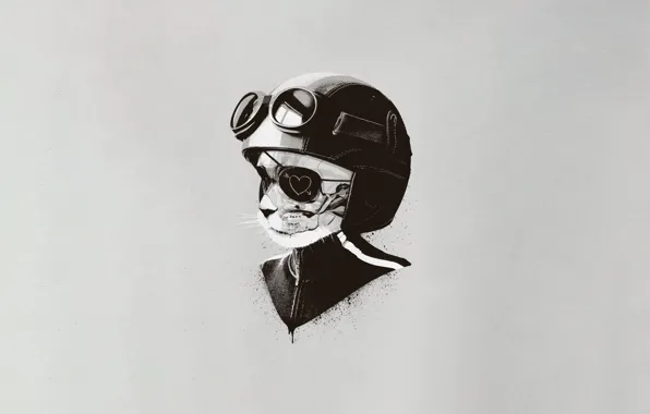 Cat, Style, Helmet, Fantasy, Art, Art, Style, Fiction